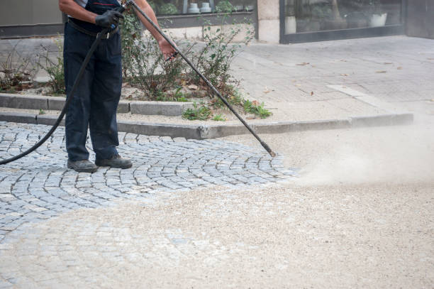 Best Fence Cleaning  in Lexico, CA