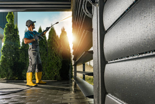 Animal Enclosure Cleaning in Calexico, CA